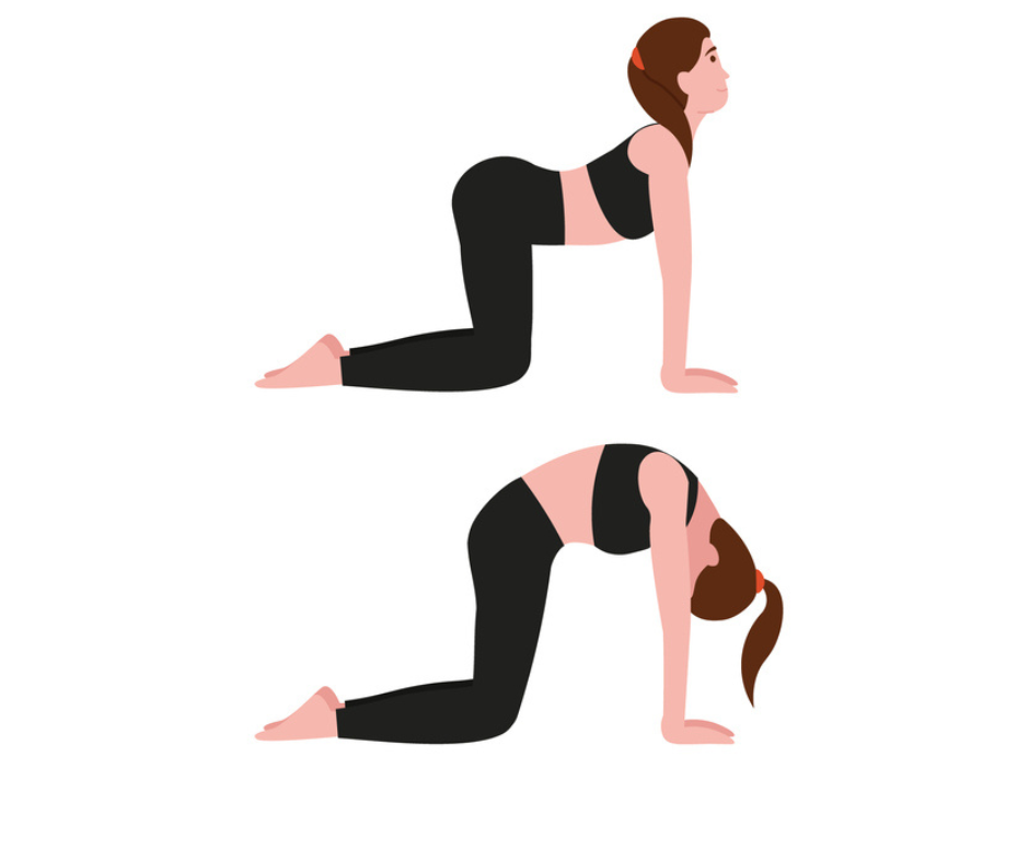 Hatha Yoga Poses