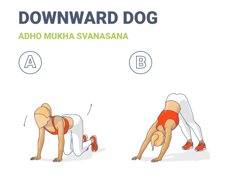 Hatha Yoga Poses