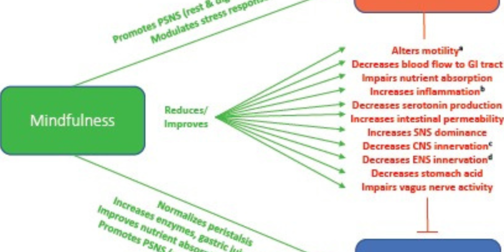 Mindful Eating Reduces Stress