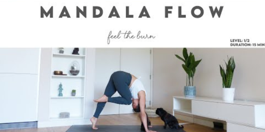  Advanced Vinyasa Transitions