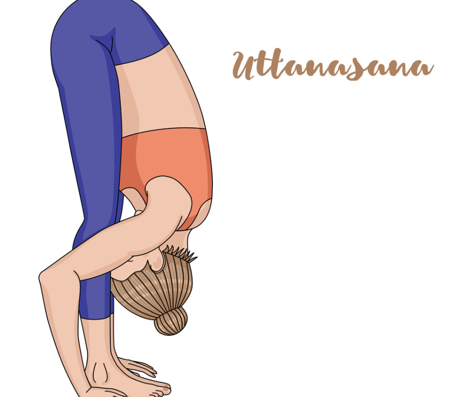 Hatha Yoga Poses