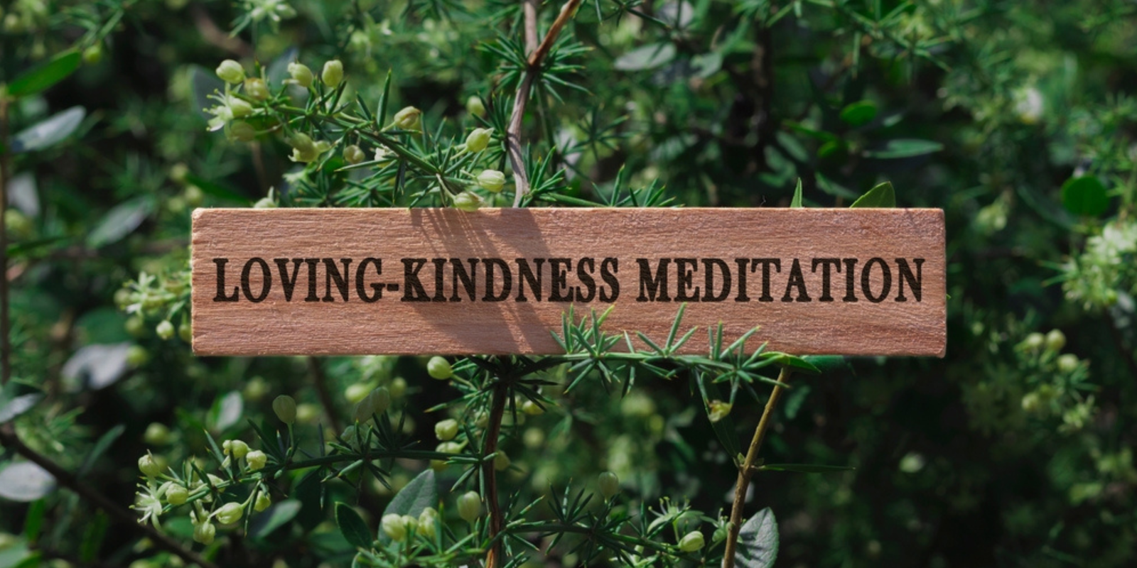 Loving-Kindness Meditation